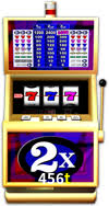 Programa VIP 456t